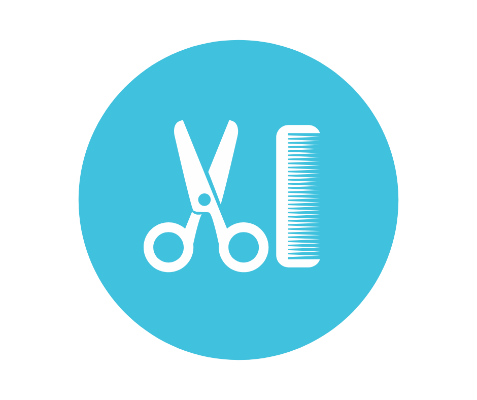 full bath hair brush icon